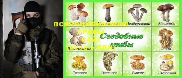 мет Корсаков
