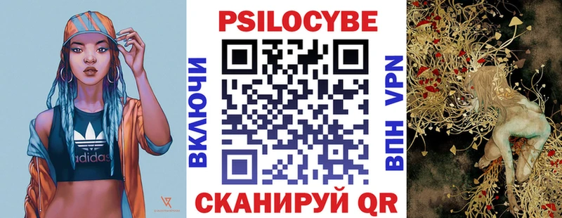 Псилоцибиновые грибы Cubensis  сколько стоит  Энем 